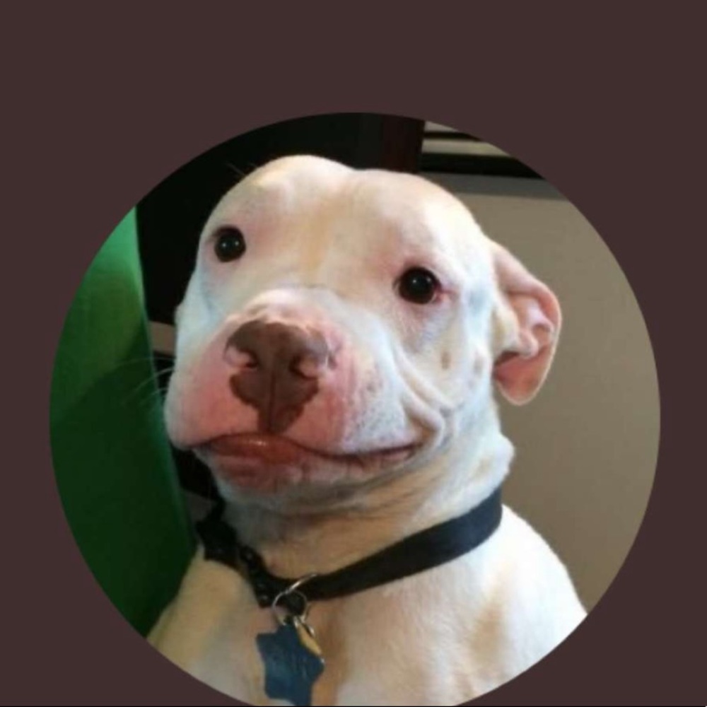 Meet your Posher, Elesa